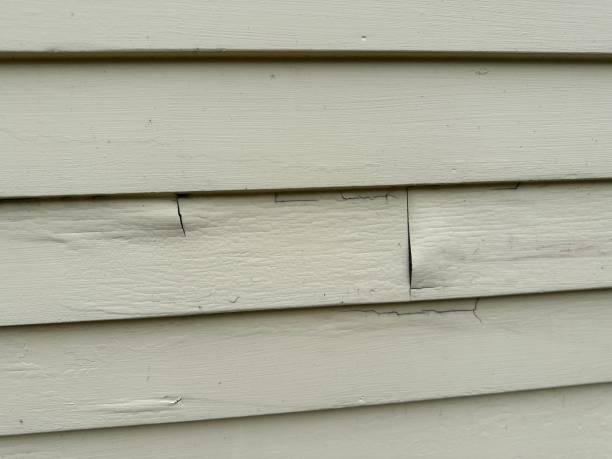 Best Steel Siding Installation  in University Park, MD